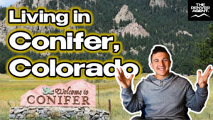 Pros and Cons of Living in Conifer, Colorado